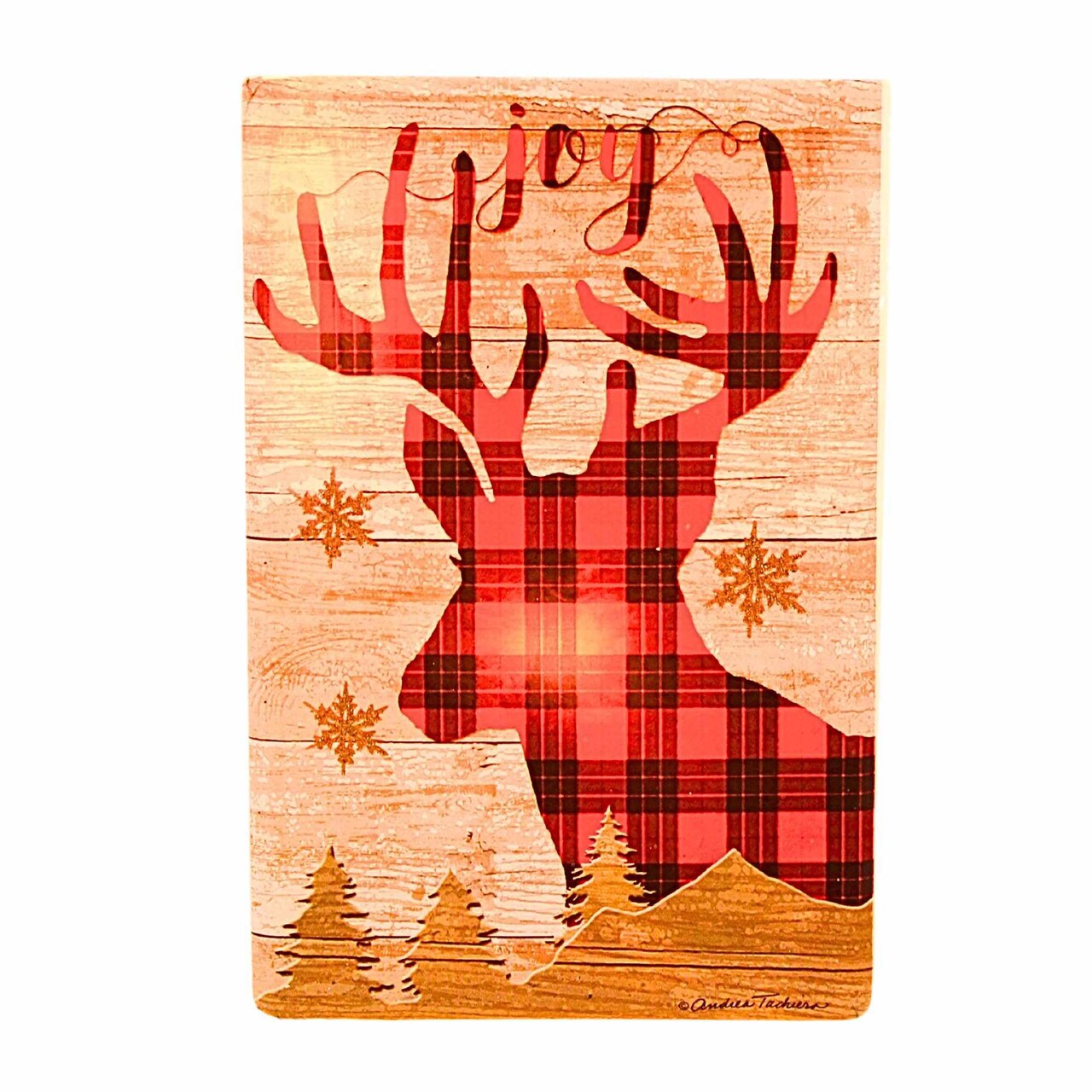 Stony Creek 6.0 Inch Lighted Rectangle Glass Vase Christmas Lighted Glass Accent , Plaid Joy